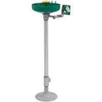 Axion&reg; Eye/Face Wash Station, Pedestal Installation, Plastic Bowl Rideout Tool & Machine Inc.