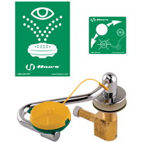 Eye/Face Wash Station, Sink Mount Installation Rideout Tool & Machine Inc.