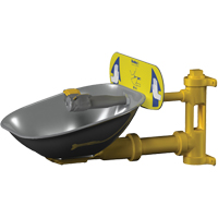 Halo Eyewash Stations, Wall-Mount Installation, Stainless Steel Bowl Rideout Tool & Machine Inc.