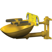 Halo Face/Eyewash Stations, Wall-Mount Installation, Plastic Bowl Rideout Tool & Machine Inc.