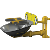 Halo Face/Eyewash Stations, Wall-Mount Installation, Stainless Steel Bowl Rideout Tool & Machine Inc.