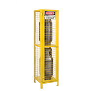 Gas Cylinder Cabinets, 2 Cylinder Capacity, 17" W x 17" D x 69" H, Yellow SEB838 | Rideout Tool & Machine Inc.
