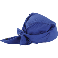 Chill-Its&reg; 6710CT Cooling Triangle Hats, Blue Rideout Tool & Machine Inc.