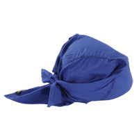 Chill-Its&reg; 6710 Cooling Triangle Hats, Blue Rideout Tool & Machine Inc.