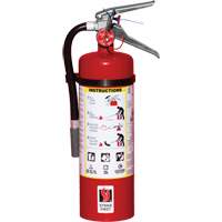 Fire Extinguisher, ABC, 5 lbs. Capacity SED109 | Rideout Tool & Machine Inc.