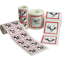 GHS Pictogram Labels, Paper, Roll, 4" L x 4" W SDN424 | Rideout Tool & Machine Inc.