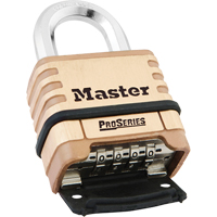 Cadenas &agrave; combinaison ProSeries, Argent, Rev&ecirc;tement en laiton, Largeur de 2-1/4" Rideout Tool & Machine Inc.