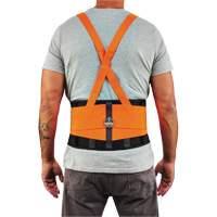 ProFlex 100HV Economy Spandex Hi-Vis Back Support Brace, Elastic, X-Small Rideout Tool & Machine Inc.