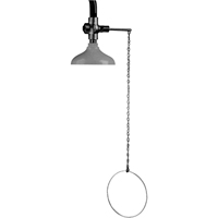 Lifesaver&reg; Emergency Overhead Showers, Ceiling-Mount Rideout Tool & Machine Inc.
