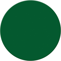 Armor Stripe Lean/5S Markers, Circle, 6" L x 6" W, Green, Plastic Rideout Tool & Machine Inc.