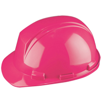 Casque Mont-Blanc de North, R&eacute;pond aux normes CSA type 2, Suspension Rochet, Non ventil&eacute; Rideout Tool & Machine Inc.