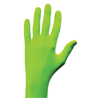 N-Dex&reg; Gloves, Small, Nitrile, 5-mil, Powder-Free, Green Rideout Tool & Machine Inc.