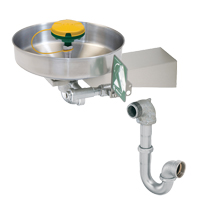 Axion<sup>®</sup> Eye/Face Wash Station, Wall-Mount Installation, Stainless Steel Bowl SGC270 | Rideout Tool & Machine Inc.