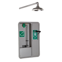 ADA Eye/Face Wash and Shower, Ceiling-Mount SGC293 | Rideout Tool & Machine Inc.