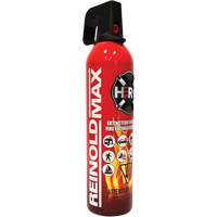 Extincteur d'incendie, ABC/K, Capacité 2 lb SGC461 | Rideout Tool & Machine Inc.