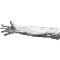 Disposable Gloves, Large, Polyethylene, 9-mil, Powdered, Clear Rideout Tool & Machine Inc.