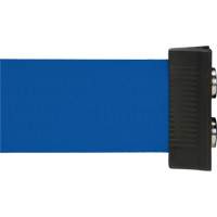 Wall Mount Barrier with Magnetic Tape, Steel, Screw Mount, 7', Blue Tape Rideout Tool & Machine Inc.