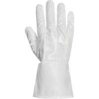 Ground Hog Electro-Static Spray Painting Gloves, Size Large, 11.5" L, Polyurethane Rideout Tool & Machine Inc.
