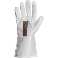 Ground Hog Electro-Static Spray Painting Gloves, Size Large, 11.5" L, Polyurethane Rideout Tool & Machine Inc.
