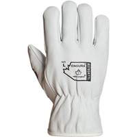 Gants de conducteur doubl&eacute;s pour l'hiver Endura, T-Grand, Paume en Cuir fleur de ch&egrave;vre, Thinsulate Rideout Tool & Machine Inc.