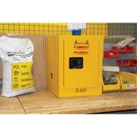 Flammable Storage Cabinet, 4 gal., 1 Door, 17" W x 22" H x 18" D SGU584 | Rideout Tool & Machine Inc.