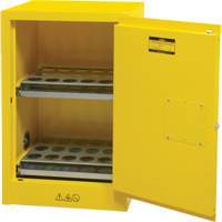 Flammable Aerosol Storage Cabinet, 12 gal., 1 Door, 23" W x 35" H x 18" D Rideout Tool & Machine Inc.