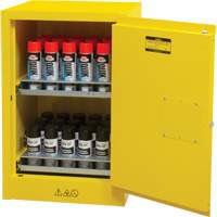 Flammable Aerosol Storage Cabinet, 12 gal., 1 Door, 23" W x 35" H x 18" D SGX675 | Rideout Tool & Machine Inc.