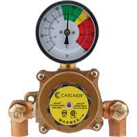 Mixing Valve for Exposed Assembly of Eye/Facewash, 9 gpm Rideout Tool & Machine Inc.