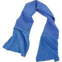 Chill-Its 6604 Multi-Purpose Cleaning and Cooling Towel, Blue Rideout Tool & Machine Inc.