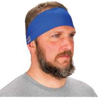 Chill-Its 6634 Cooling Headband, Blue SHB409 | Rideout Tool & Machine Inc.