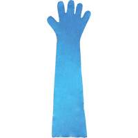 Disposable Gloves, Polyethylene, Powder-Free, Blue SHB950 | Rideout Tool & Machine Inc.