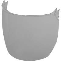 Face Shield Replacement Lenses, Polycarbonate, Grey/Smoke Tint Rideout Tool & Machine Inc.