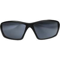 Lunettes de s&eacute;curit&eacute; Robson avec joint, Lentille Miroir argent&eacute;, Anti-&eacute;gratignures/Polaris&eacute;, ANSI Z87+/MCEPS GL-PD 10-12/R&eacute;pond ou surpasse la norme CSA Z94.3 Rideout Tool & Machine Inc.