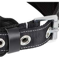 WB-6010-S Safety Restraint 1 D-Ring Belt with Padded Lumbar Support - Small Rideout Tool & Machine Inc.