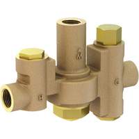 Mid-Capacity Thermostatic Mixing Valve for Individual Eye/Face Wash Stations, 2 - 35.1 GPM Rideout Tool & Machine Inc.