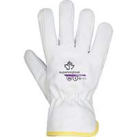 Synthetic Gloves