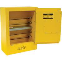 Mini Flammable Safety Cabinet, 2 Gal., 1 Door, 17" W x 22" H x 8" D Rideout Tool & Machine Inc.