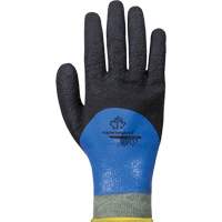 Gants r&eacute;sistants &agrave; la coupe &agrave; rev&ecirc;tement double SCXPNTFC, Taille 6, Calibre 13, Rev&ecirc;tement Nitrile, Enveloppe en ParaActiv, ASTM ANSI niveau A5 Rideout Tool & Machine Inc.