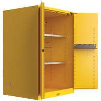 Armoire de s&eacute;curit&eacute; pour produits inflammables Utili-Guard+, 45 gal., 2 Porte(s), 43" La x 65" h x 22" p Rideout Tool & Machine Inc.