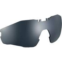 Lentille de rechange pour lunettes de s&eacute;curit&eacute; MY6, Antibu&eacute;e/Anti-&eacute;gratignures, Gris/Fum&eacute;e, MY6 Rideout Tool & Machine Inc.