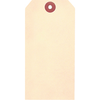 Blank Tags