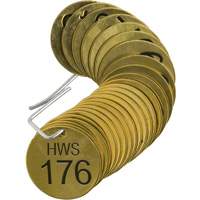 Brass Numbered "HWS" Valve Tags SX754 | Rideout Tool & Machine Inc.