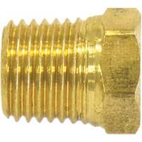 Pipe Plug (Hex Head), 1/2" Dia., Brass Rideout Tool & Machine Inc.