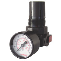Mini Regulators, 1/4" NPT, 165 PSI Max. PSI, Modular Rideout Tool & Machine Inc.