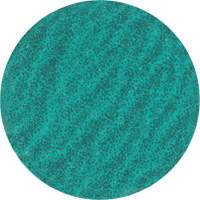 Lock Back Sanding Disc, 3" Dia., 36 Grit, Zirconium Rideout Tool & Machine Inc.