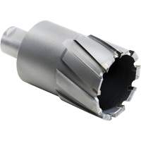 Outil de coupe annulaire, Diam&egrave;tre de 27,5 mm, Carbure, Profondeur de la coupe de 4" Rideout Tool & Machine Inc.