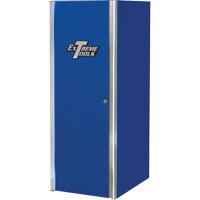 EX Professional Series Tool Cabinet, 4 Drawers, 24" W x 31" D x 63-3/8" H, Blue TEP598 | Rideout Tool & Machine Inc.