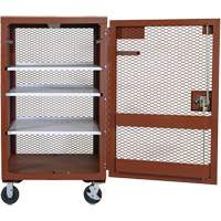 Mobile Mesh Cabinet, Steel, 22 Cubic Feet, Red TEQ807 | Rideout Tool & Machine Inc.