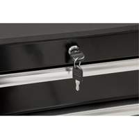 Chariot &agrave; outils &agrave; usage intensif, 7 tiroirs, 28" la x 22" p x 42-3/8" h, Noir Rideout Tool & Machine Inc.