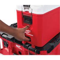 Packout™ Compact Cooler, 16 qt. Capacity TER113 | Rideout Tool & Machine Inc.